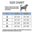 thumbnail image 4 of Rabbitgoo Dog Harness, No-pull Pet Harness With 2 Leash Clips, Adjustable Soft Padded Dog Vest, 4 of 5