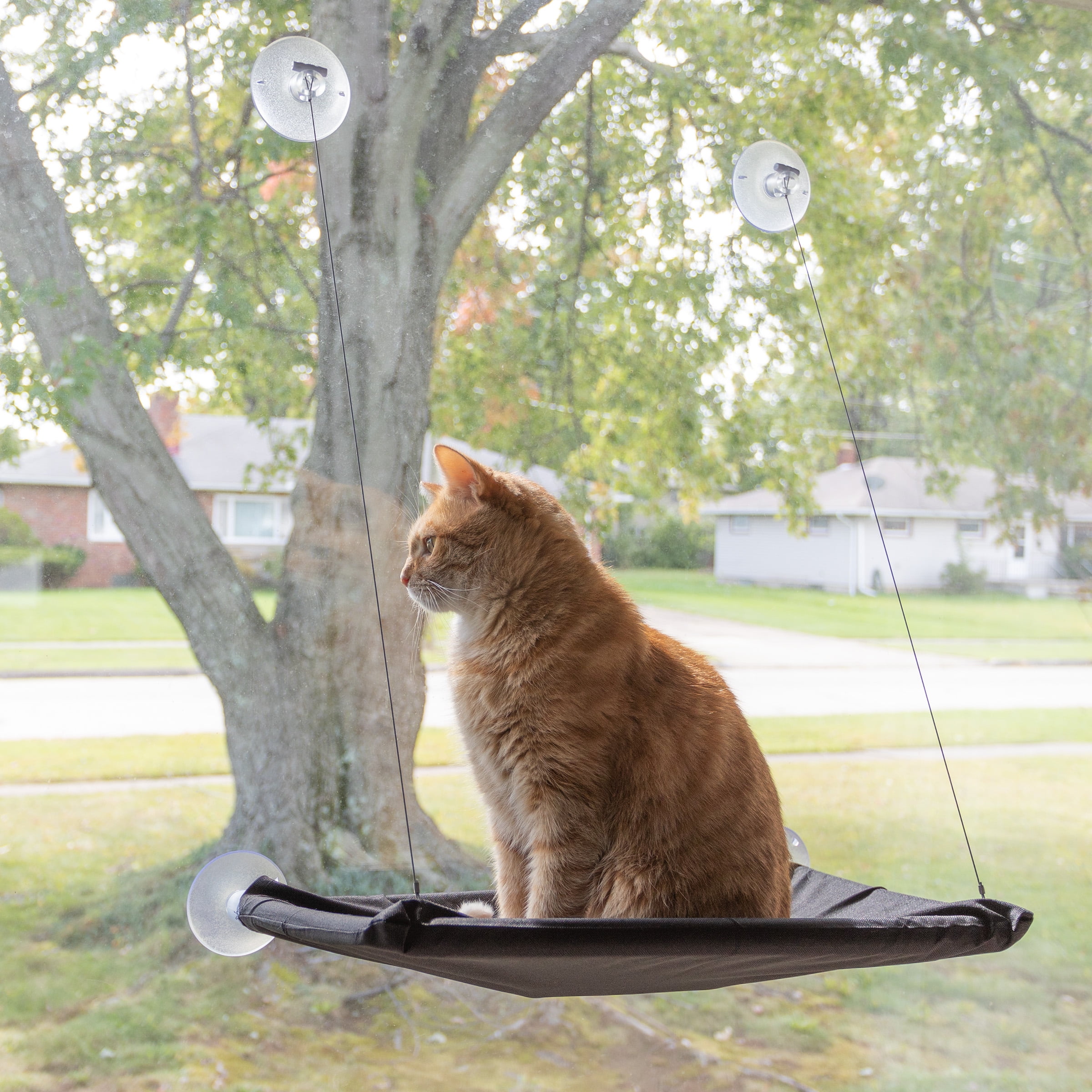 DICH HENDERSON / CAT’S  TAIL CAMISOLE PETMAKER Cat Window Perch with Removable Machine Washable Cover