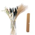 thumbnail image 2 of CreativeArrowy Tall Pampas Grass Fluffy Artificial Stems Dried Reed Flowers Bouquet Home Wedding Decoration Multicolor Floating Dust, 2 of 9