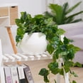thumbnail image 2 of Jardinera Decorativa Gloria de Plástico Blanco Riego Automático, 2 of 9