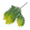 thumbnail image 1 of Artificial Del Tacto Verdadero De La Decoración Bola De Cactus Flor Follaje De Plantas Suculentas, 1 of 8