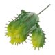 thumbnail image 1 of Planta artificial,artificial Suculento,tacto verdadero de la planta,Falso Suculento,Decoración floral,planta de plástico, 1 of 8