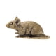 thumbnail image 3 of Ouse artesanía feng shui adorno adorno de rata estatua animal escultura de animales diminy tapet colección regalo para el gabinete de oficina hogar, 3 of 8