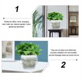 thumbnail image 5 of WRITWAA 12Pcs White PP Plant Pots with Root Control and Water Permeability for Gardeners and Use, 5 of 6