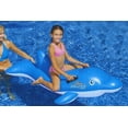 thumbnail image 4 of Swimline Dolphin Stable Pool Float, 4 of 4