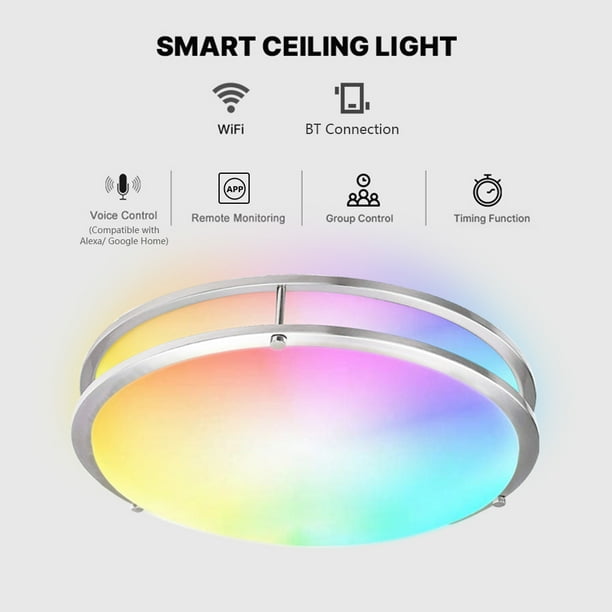 Smart 2024 ceiling light