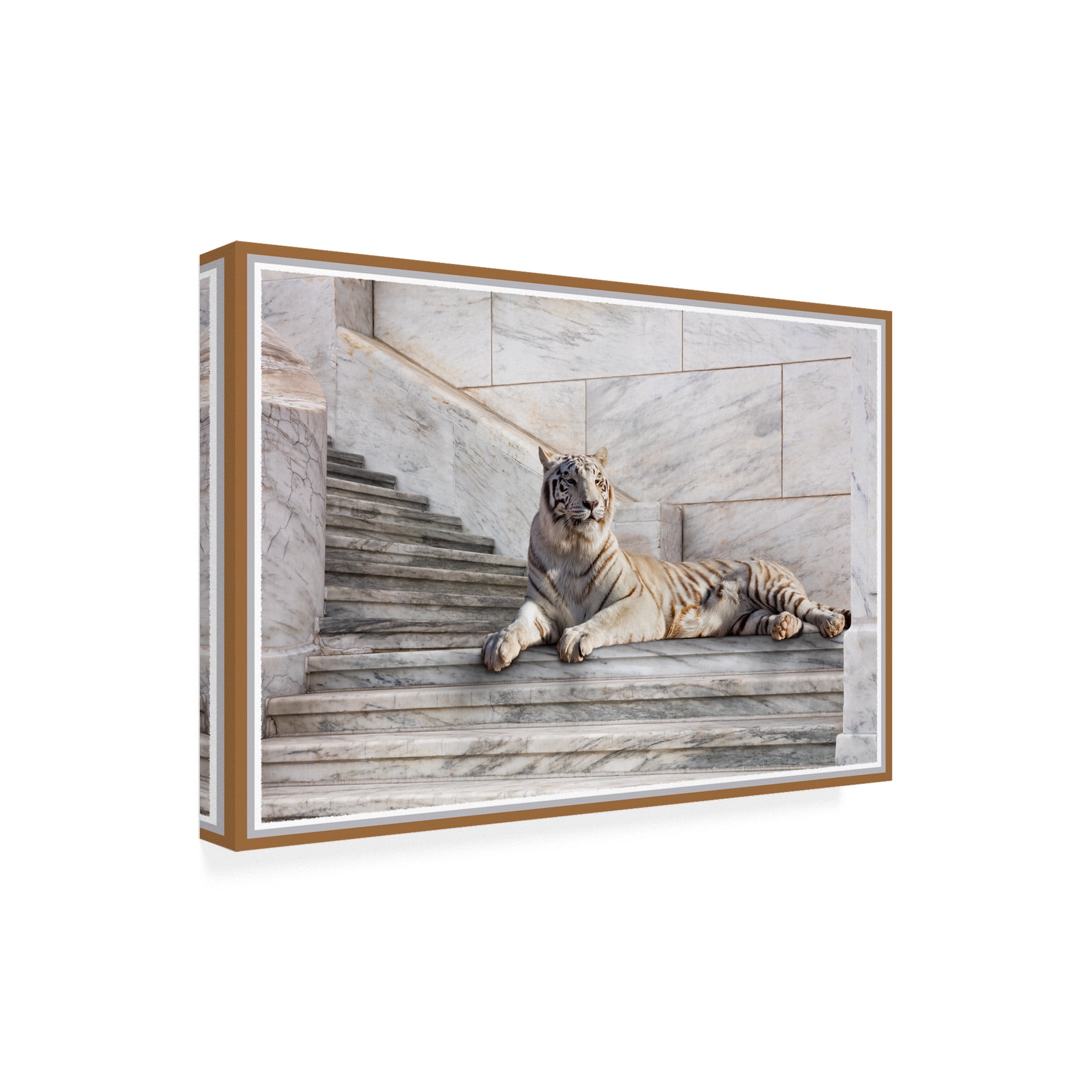 Trademark Fine Art 'Tiger On Steps' Canvas Art by Monte Nagler