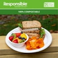 thumbnail image 3 of Compostable 10 Inch Round Plates (Value Pack), 3 of 3
