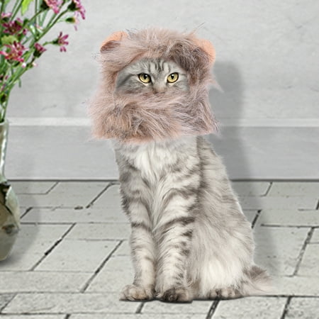 Animal De Compagnie Chat Perruque Decoration Ornement Faux Cheveux Mignon Elegant Fournitures Pour Animaux De Compagnie Pour 26 30 Cm Tour De Tete Walmart Canada Animal De Compagnie Chat Perruque Decoration Ornement Faux Cheveux Mignon Elegant Fournitures Pour Animaux De Compagnie Pour 26 30 Cm Tour De Tete Walmart Canada