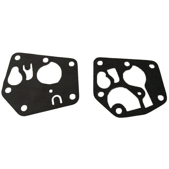 495770 Diaphragm & Gasket Set Fits Briggs and Stratton