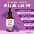 thumbnail image 4 of MaryRuth Organics USDA Organic Elderberry Liquid Drops, 1 fl oz (30 mL), 4 of 10