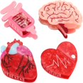 thumbnail image 1 of wonima11 Anatomical Medical Theme Hair Clips, 4-Piece Set, Heart Brain and Syringe Design, Pink and Red, 1 of 1