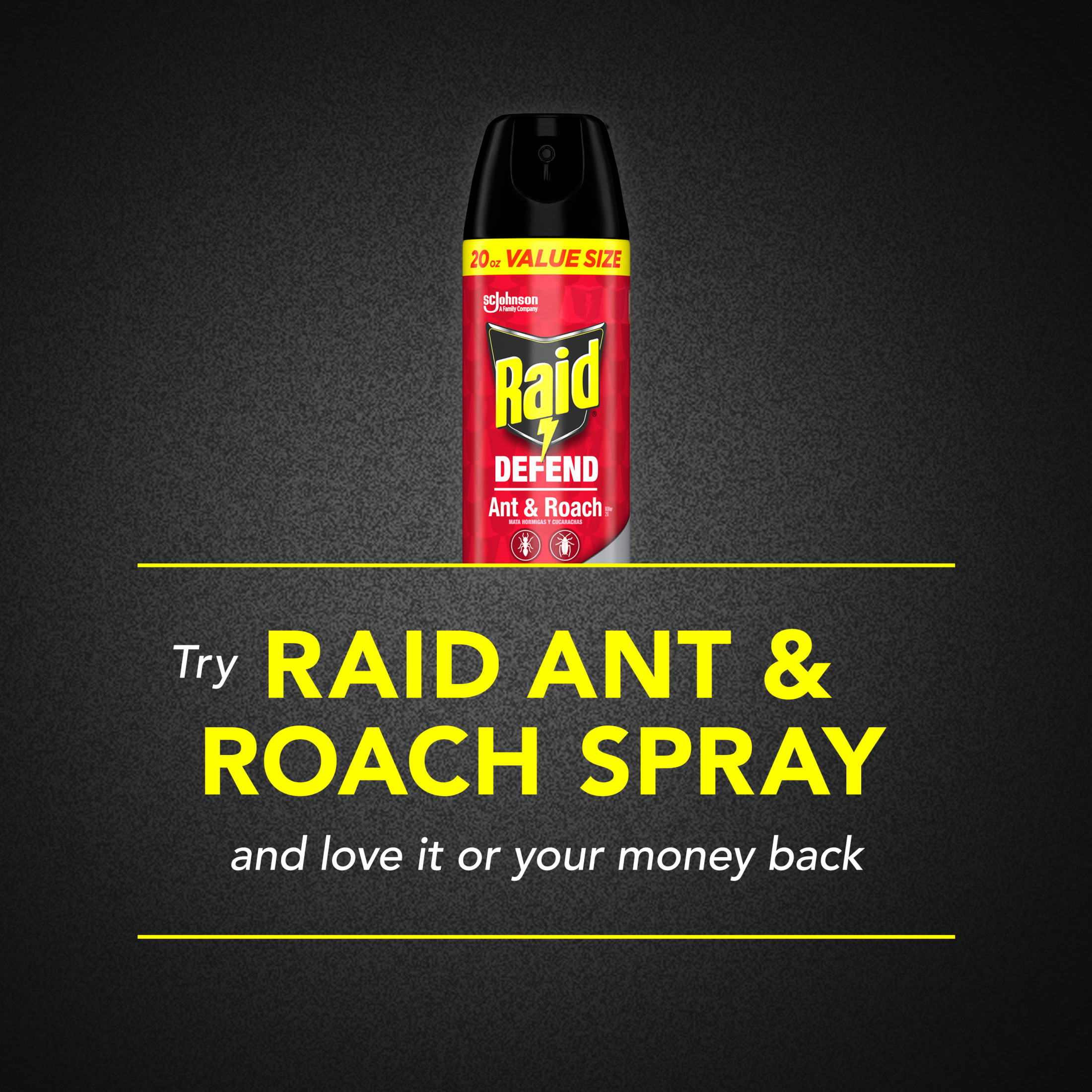 Raid Defend Ant & Roach Insect Killer Spray, Outdoor Fresh Scent, for Indoor Use, 20 oz, 2 count