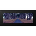 thumbnail image 2 of Berenholtz, Richard 24x11 Black Modern Framed Museum Art Print Titled - Monterey Cypress Trees Point Reyes California, 2 of 5