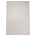 thumbnail image 1 of HomeRoots 353924 3 Pi 3 Po x 5 Pi 3 Po Tapis de la Zone Ivoire en Polyester, 1 of 1