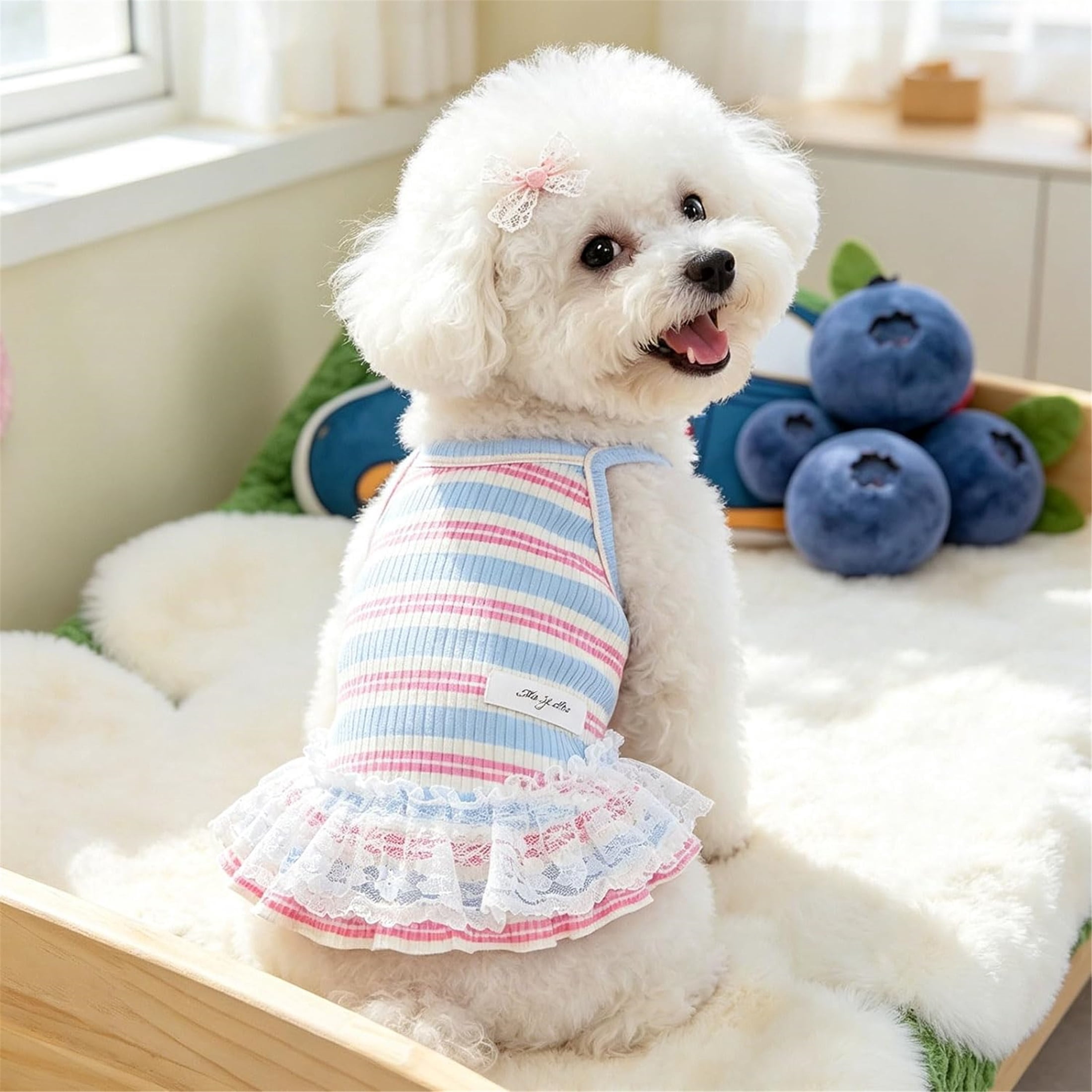 HQREA Striped Dog Shirts for Small Dogs Girl Cute Dog Dress Summer Puppy Clothes Pet Tshirt Skirt Outfits,2 Pack