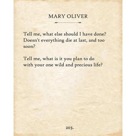 Mary Oliver - Tell Me What Else Should I Have Done - The Summer Day Poem Art Print Office and House Decorations Literature Gift for Poetry Poster