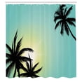 thumbnail image 3 of Ambesonne Modern Shower Curtain, Hawaiian Miami Beach Sun, 69"Wx75"L, Seafoam Black, 3 of 5