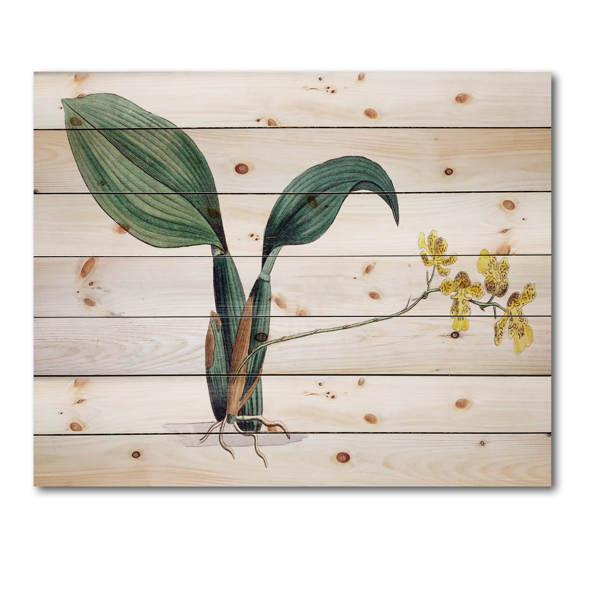 Designart 'Ancient Plant Life VI' Traditional Print on Natural Pine Wood