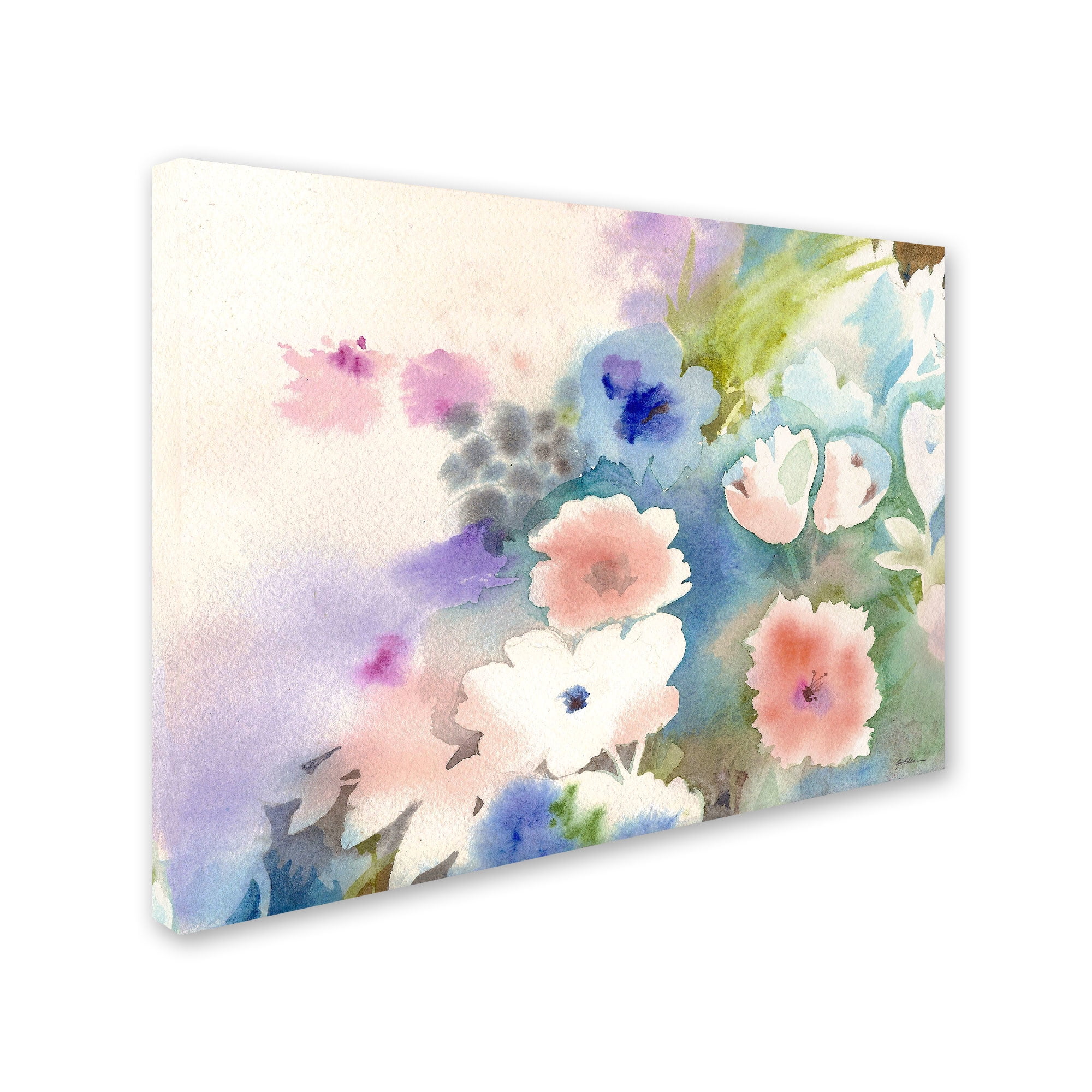 Trademark Fine Art "Mystic Garden" Canvas Art by Sheila Golden