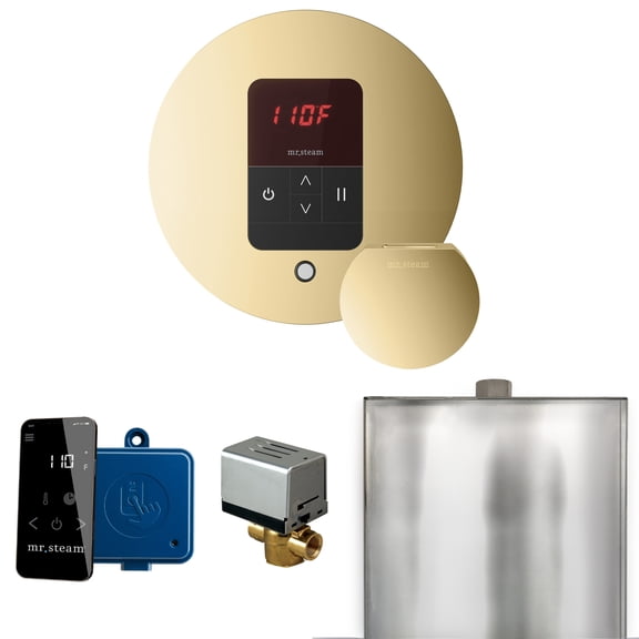 Mr Steam Basic Butler Steam Shower Ctrl Pkg w/Round iTempo Control and Steamhead in Polished Brass