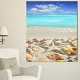 thumbnail image 1 of Design Art - Étoile de Mer des Caraïbes, 1 of 1