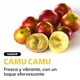 thumbnail image 3 of Electrolitos Sin Azúcar En Polvo - Sales Minerales | Hidratación Bajo En Calorías, Apto Dieta Keto | Rehidratación - 20 Sticks Individuales - Hidratante Camu Camu Efervescente, 3 of 8