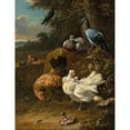 thumbnail image 2 of Melchior d'Hondecoeter 19x24 Black Ornate Framed Double Matted Museum Art Print Titled: Chickens and Pigeons in a Landscape, 2 of 5