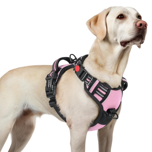 Arnés para perros Rabbitgoo, mejorado, sin tirones, para perros grandes, color rosa L
