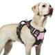 thumbnail image 1 of Arnés para perros Rabbitgoo, mejorado, sin tirones, para perros grandes, color rosa L, 1 of 9