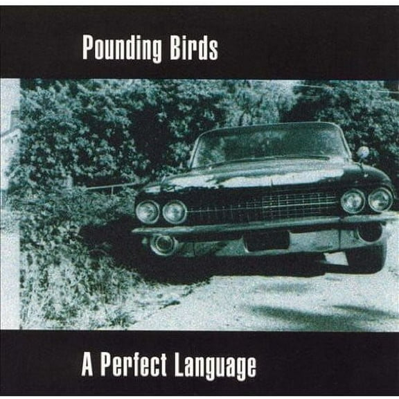 Pounding Birds - Perfect Language - Rock - CD