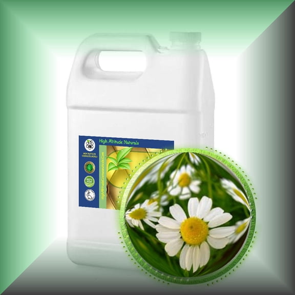 Chamomile (German, Matricaria Chamomilla) Essential Oil