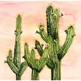 thumbnail image 2 of Atelier B Art Studio 26x26 Gold Ornate Wood Framed with Double Matting Museum Art Print Titled - WEBEROCEREUS CACTUS, 2 of 4