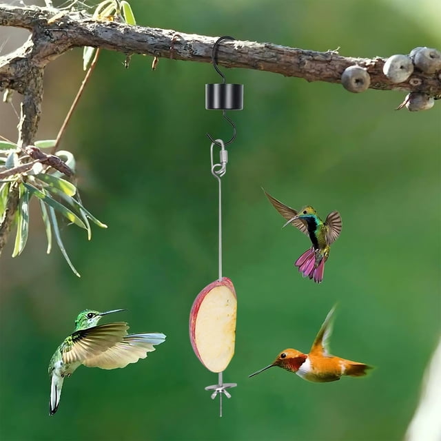 Comedero de tenedor de acero inoxidable Parrot | Brocheta de jaula colgante | Actividad de recolección Proveedor de Alimentos | Diseño duradero y fácil de limpiar | Encaja en la mayoría de las