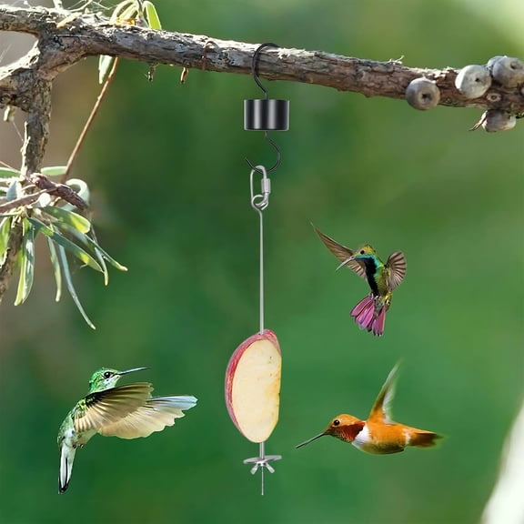 chaungfeng Stainless Steel Bird Cage Millet Holder Set, 9 Inch Hanging Food Skewers for Parrots, Macaws, Budgies, and Parakeets, for Fruits, Veggies