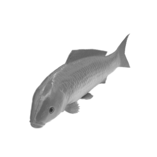 1 Unidad Artififcial para Festivales Ocasiones Comercio de Alimentos Carnicería Panadería Pescado gris BLESIY Alimentos artificiales realistas