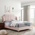 thumbnail image 1 of Modway Daniella Performance Velvet Queen Platform Bed in Pink, 1 of 9