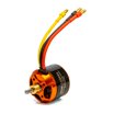 Spektrum Avian 4240-800kV Brushless Outrunner Motor - For .28 Size Glow Conversion & 3-5S LiPo, SPMXAM4670
