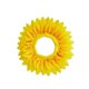 thumbnail image 1 of Sombrero de girasol oso de fresa para fiestas de baile diámetro 42 cm, 1 of 5