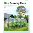 thumbnail image 2 of Quictent 95"x36"x36" Waterproof Outdoor Clear Mini Greenhouse Portable Garden Planter Hot Tunnel House PVC Cover (Clear), 2 of 8