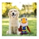 thumbnail image 3 of Juguete para perros Mascota Mundial 2026 FIFA Clutch Estados Unidos, 3 of 4