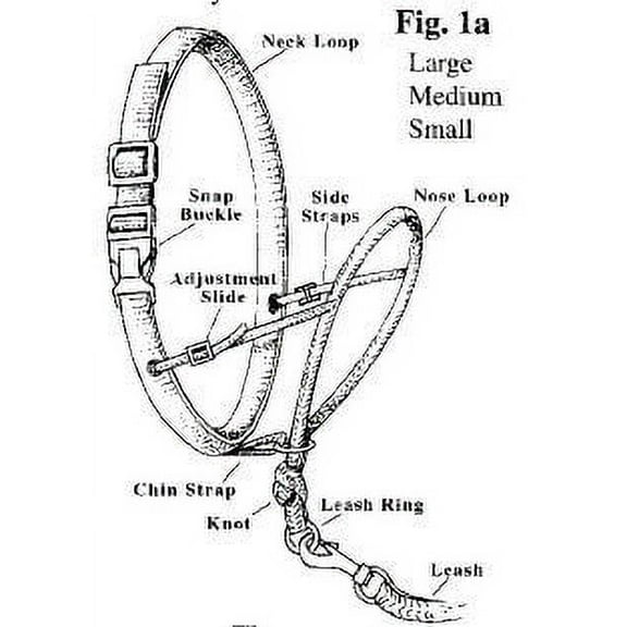 Snoot Loop: Small, Regular, Black