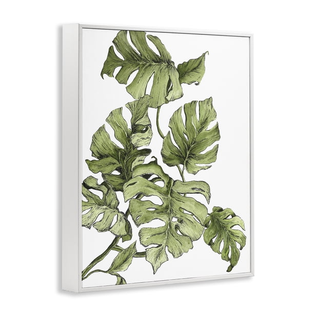 Stupell Industries Falling Monstera Leaves Botanical & Floral Painting  White Framed Art Print Wall Art, 11 x 14 - Walmart Business Supplies