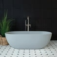 thumbnail image 1 of Irelia 65 Inch Resin Double Ended Tub, 1 of 2