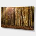 thumbnail image 2 of Forêt Dense dans les Rayons du Lever du Soleil - Impression sur Toile Forêt, 2 of 4