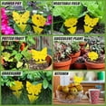 thumbnail image 5 of 30 Pack Viscous Traps for Indoor Outdoor Natural Pest Control, Fruit Fly Trap and Fungus Gnat Traps for House Plants, Whitefly, Mosquito Bits, Flying Insects, 5 of 10