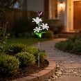 thumbnail image 1 of Solar Lily Hummingbird Garden Lights, Fiber Optic LED Solar Stake Lamp with Auto Charging Weather Resistant Decorative Lighting for Garden Yard Walkway Wedding Party Holiday Outdoor Decor, 1 of 6