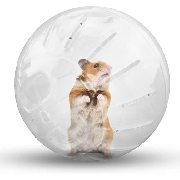 Dwarf Hamster Ball 4.92inch Crystal Running Ball for Hamsters Run-About Exercise Fitness Wheels Toys Chinchilla Cage Accessories for Hamsters Less Than 4 inches 10 cm in Length (S, White B)