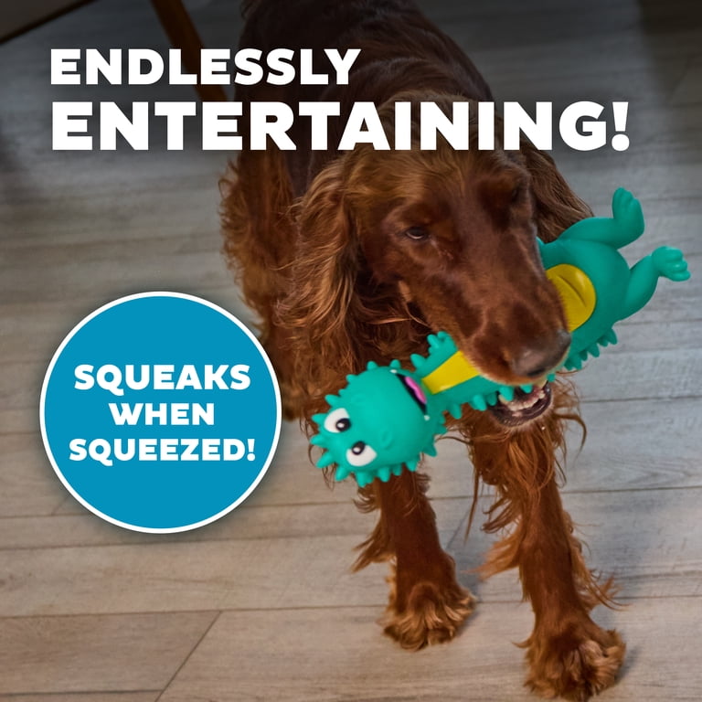 Outward Hound Big Squeak Dino Dog Toy, Chase & Carry Size