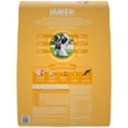 thumbnail image 2 of IAMS PROACTIVE HEALTH Smart Puppy Large Breed Dry Dog Food Chicken, 38.5 lb. Bag, 2 of 12